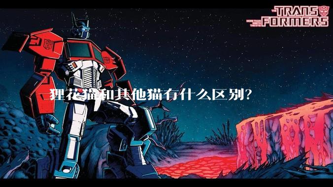 狸花猫和其他猫有什么区别？