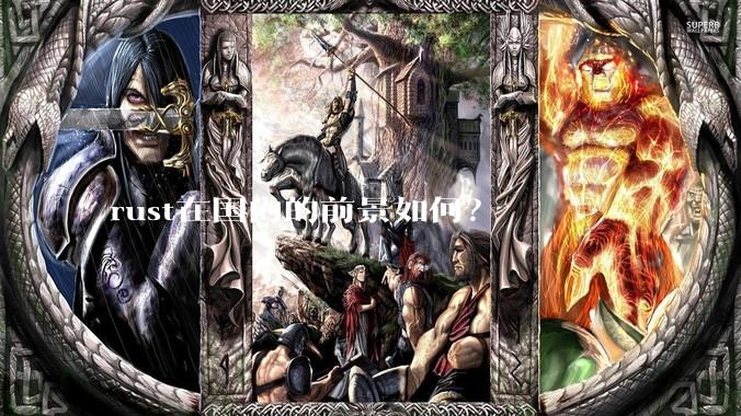 rust在国内的前景如何？