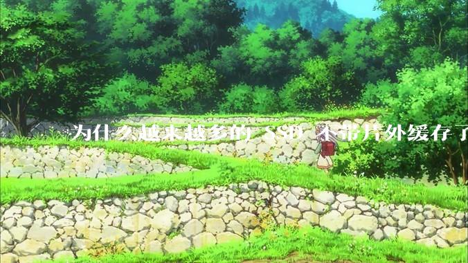 为什么越来越多的 SSD 不带片外缓存了？