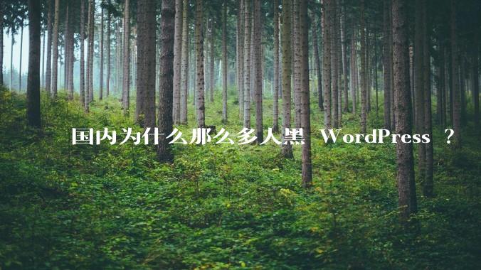 国内为什么那么多人黑 WordPress ？