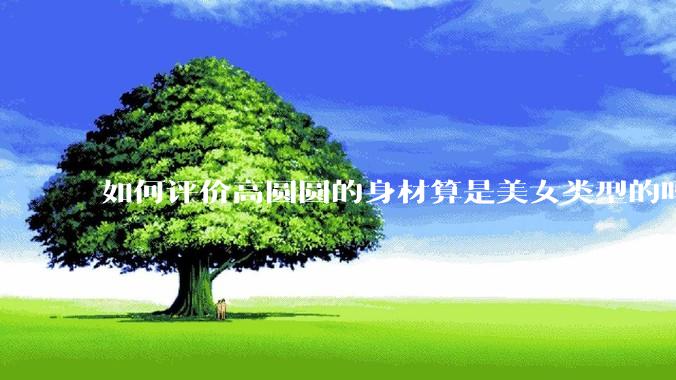 如何评价高圆圆的身材算是美女类型的吗？