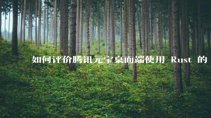 如何评价腾讯元宝桌面端使用 Rust 的 Tauri 框架？