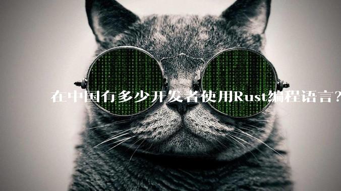 在中国有多少开发者使用Rust编程语言？
