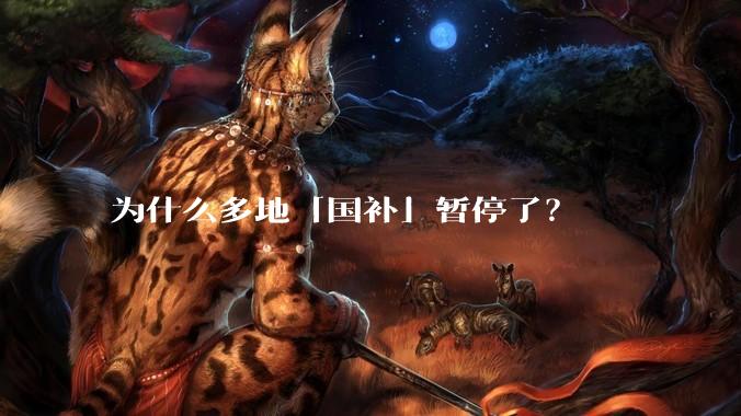 为什么多地「国补」暂停了？