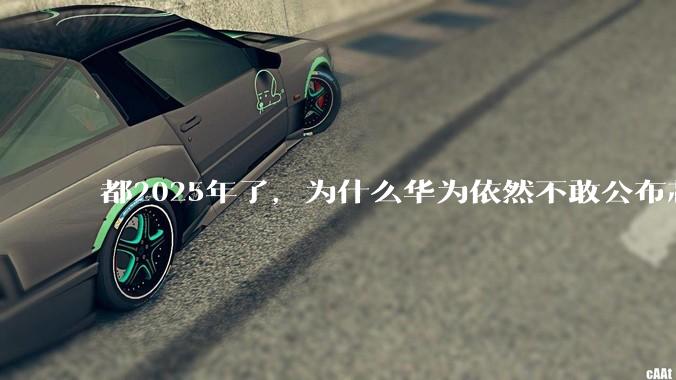 都2025年了，为什么华为依然不敢公布芯片的信息？