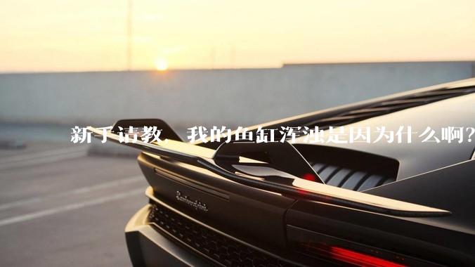 新手请教，我的鱼缸浑浊是因为什么啊？