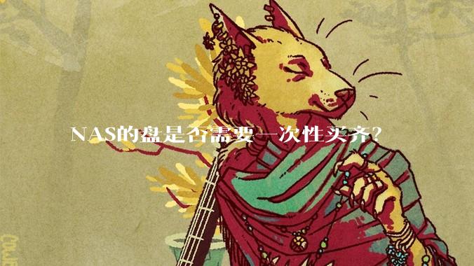 NAS的盘是否需要一次性买齐？
