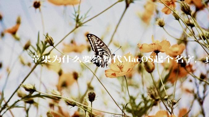 苹果为什么要给每代MacOS起个名字，真以为人们记得住分得清吗？