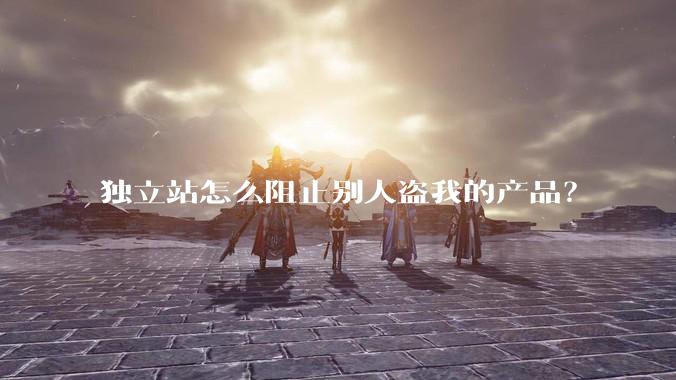 独立站怎么阻止别人盗我的产品？