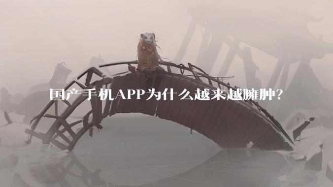 国产手机APP为什么越来越臃肿？