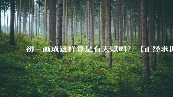 初三画成这样算是有天赋吗？【正经求助】?