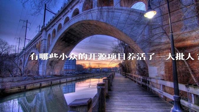 有哪些小众的开源项目养活了一大批人?