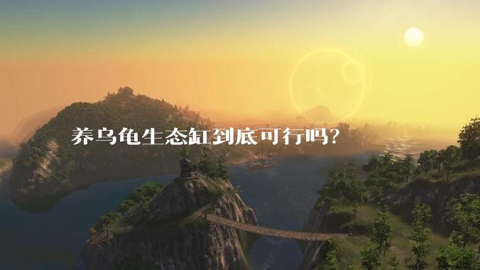 养乌龟生态缸到底可行吗？