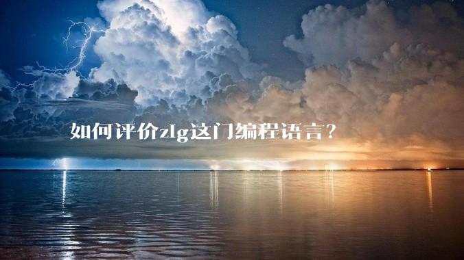 如何评价zig这门编程语言？