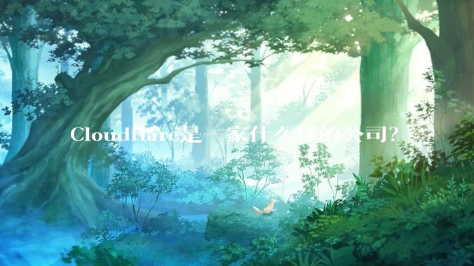 Cloudflare是一家什么样的公司？