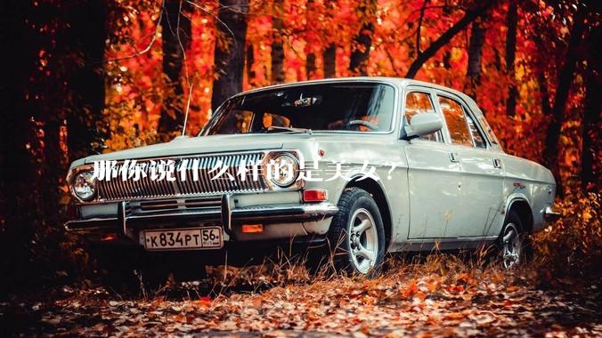 那你说什么样的是美女？