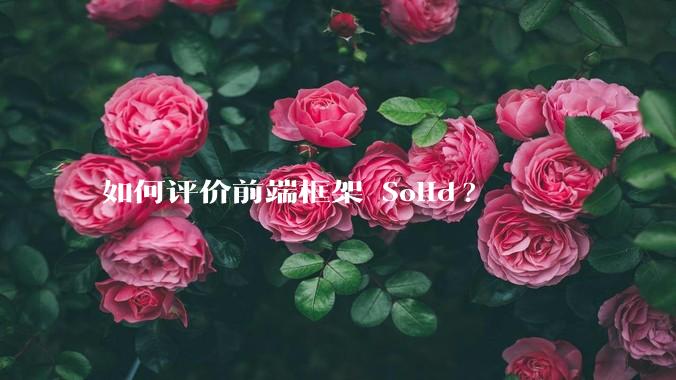 如何评价前端框架 Solid?