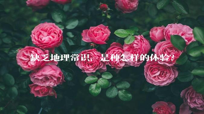 缺乏地理常识，是种怎样的体验？