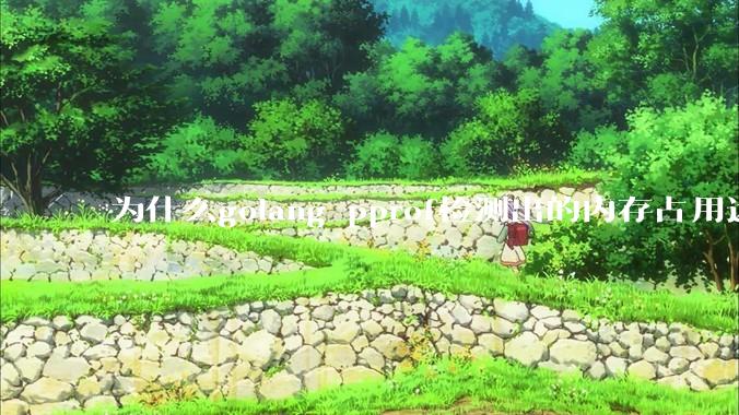 为什么golang pprof检测出的内存占用远小于top命令查看到的内存占用量？